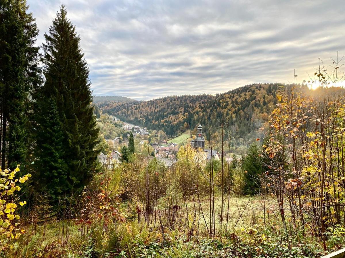 Apartment-Chalet Panorama Todtmoos Buitenkant foto