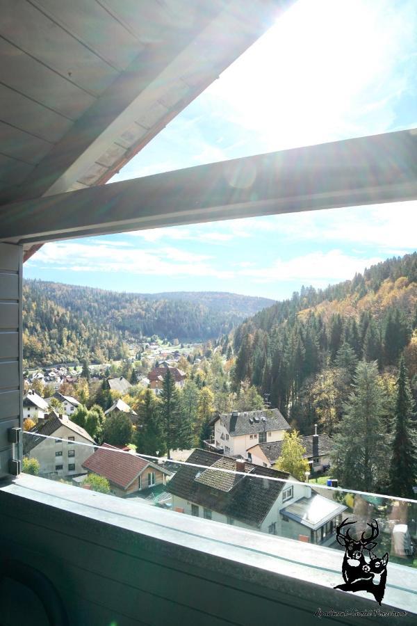 Apartment-Chalet Panorama Todtmoos Buitenkant foto