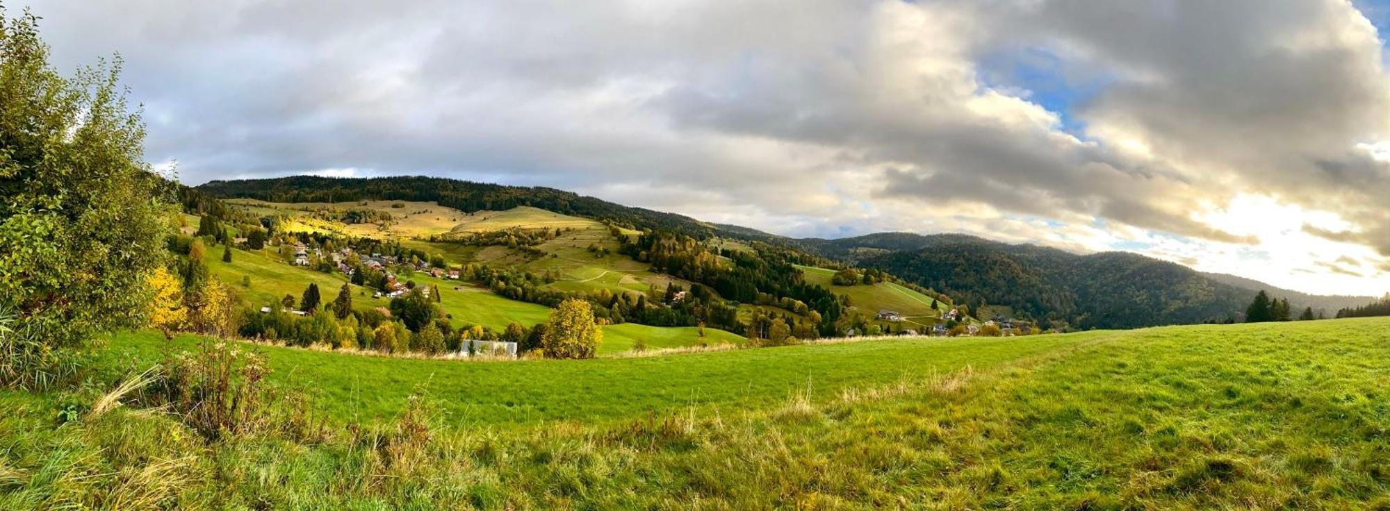 Apartment-Chalet Panorama Todtmoos Buitenkant foto
