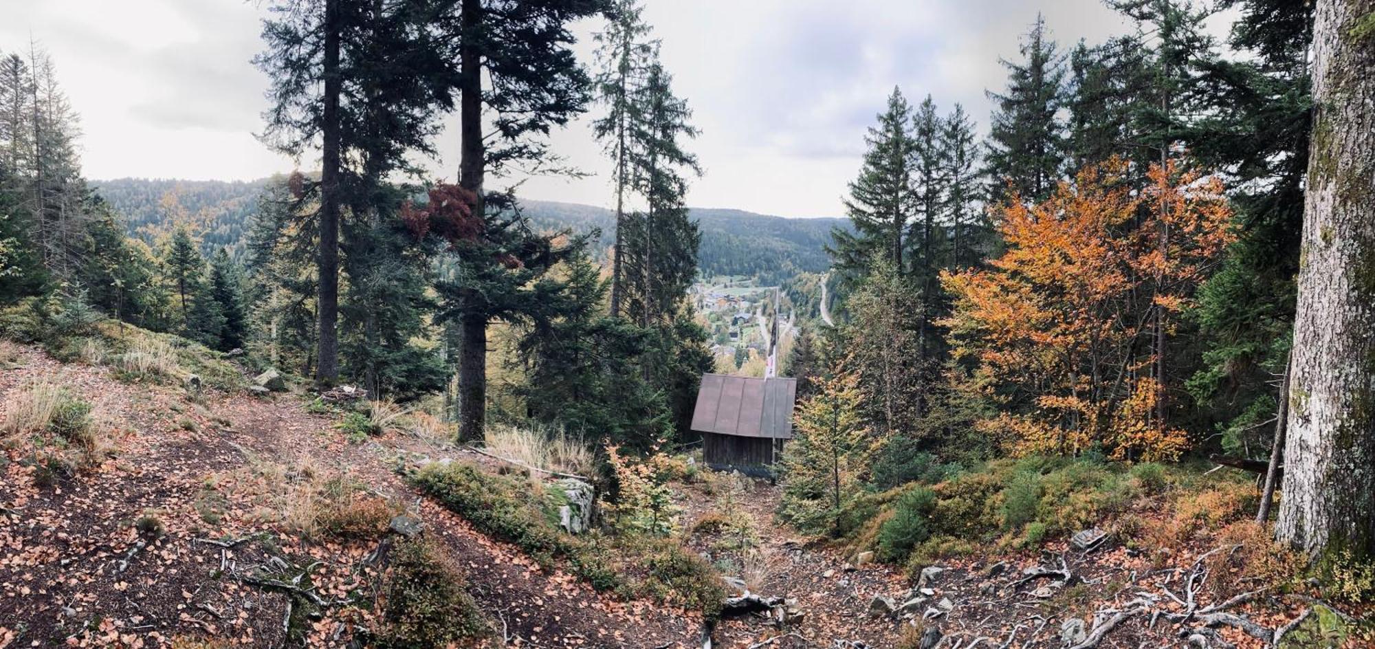 Apartment-Chalet Panorama Todtmoos Buitenkant foto